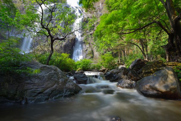 آبشار زیبا در جنگل عمیق جنگل های استوایی