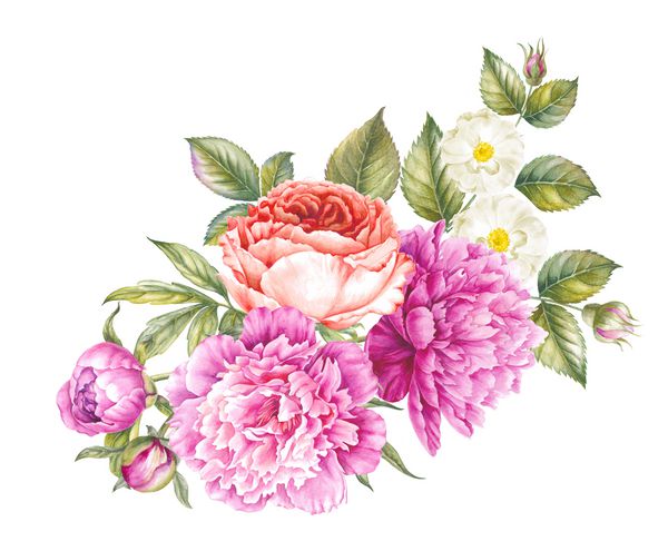 ترکیب گل گلی دستباف دسته گل رز صورتی آبرنگ گلهای گل رز قرمز برای الگوی کارت دعوت در زمینه سفید تصویر گیاه شناسی