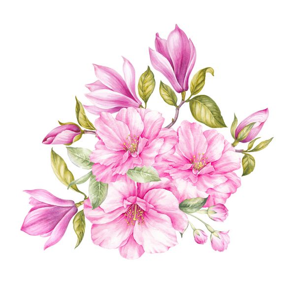 کارت زیبا با گل های بهاری از ماگنولیا برای دعوت شما دسته گلهای شکوفه تصویر زمینه گیاهان آبرنگ پرنعمت کارت دعوت برای عروسی تولد و تعطیلات دیگر