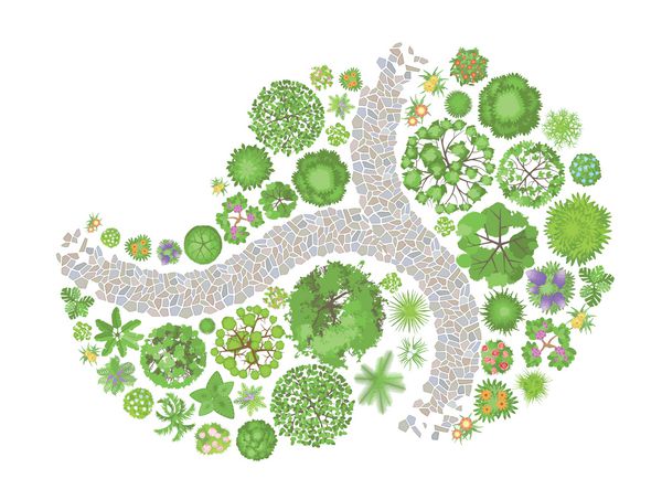 تصویر برداری طراحی منظره نمای بالا مسیر درختان و گلها نمای از بالا