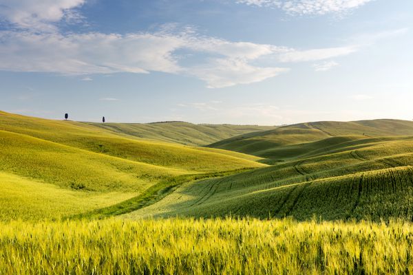 نمای وسیعی از تپه های نورد سبز حومه توسکانی در ایتالیا