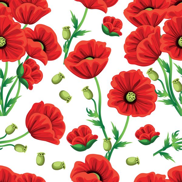الگوی بدون درز گل خشخاش قرمز با برگهای سبز تصویر برداری بر روی زمینه سفید صفحه وب سایت و طراحی برنامه تلفن همراه
