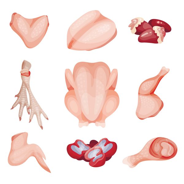 مجموعه قطعات گوشت مرغ قسمت هایی از لاشه بال برس فیله قلب پاها وکتور سنگ شکن تصاویر بر روی زمینه سفید