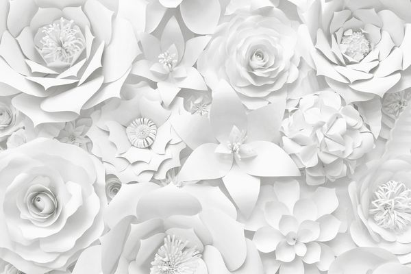 کاغذ دیواری با گل های مختلف تزئین شده گل عروسی تزئینی