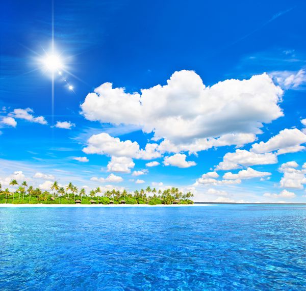 منظره ساحل جزیره گرمسیری با نخلستان ها و آسمان آبی آفتابی زمینه تعطیلات