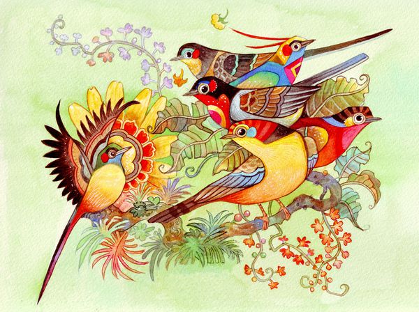 پنج پرنده در جنگل تصویر زیبا و رنگارنگ برای دکوراسیون پس زمینه کتاب کارت پستال کارت پستال تصویر زمینه نقاشی آبرنگ