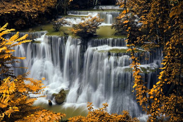 آبشار و جریان آبی در فصل بهار جنگل زرد در تایلند
