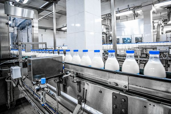 تولید شیر در کارخانه