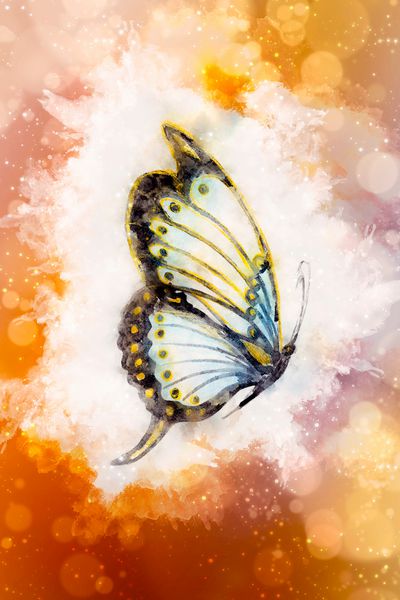 تصویر یک پروانه متوسط ​​مخلوط پس زمینه رنگی انتزاعی