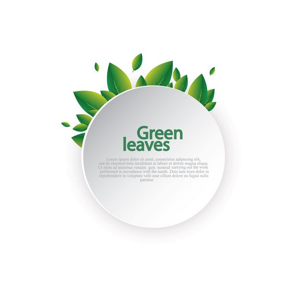 چارچوب سبز چمن بهار تازه قالب قاب با طرح های تزئینی طرح کاغذ حلقه ای خالی