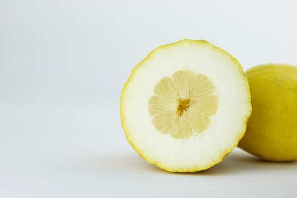بستن لیمو و سرو را به طور نصف برش داده شده در زمینه سفید فضای کپی کنید