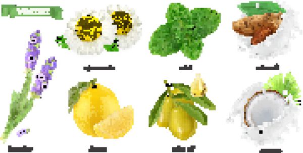 گیاهان دارویی و طعم دهنده ها بابونه نعناع اسطوخودوس لیمو بادام نارگیل روغن زیتون مجموعه آیکون های وکتور 3D واقع بینانه