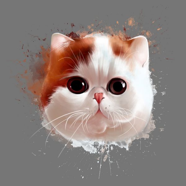پرتره یک گربه عجیب و غریب به رنگ سفید قرمز با چشم های قهوه ای زیبا و ابراز قهوه ای