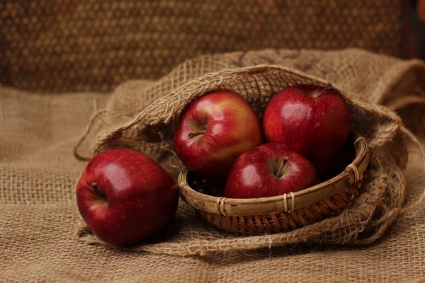 سیب قرمز تازه آبدار برای جشنواره شکرگذاری آینده این اوت
