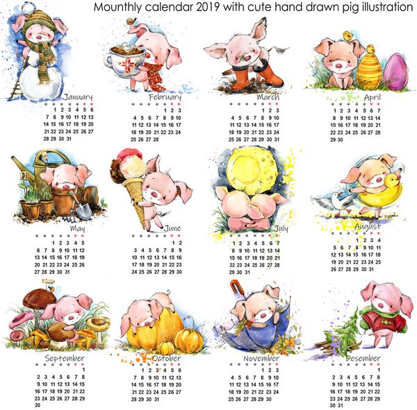 تقویم خوک برای سال 2019 تقویم ماه زیبا با گلوله های خنده دار آبرنگ