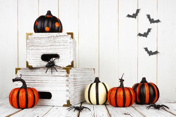 دکوراسیون هالووین سیاه سفید و نارنجی در برابر پس زمینه چوب سفید