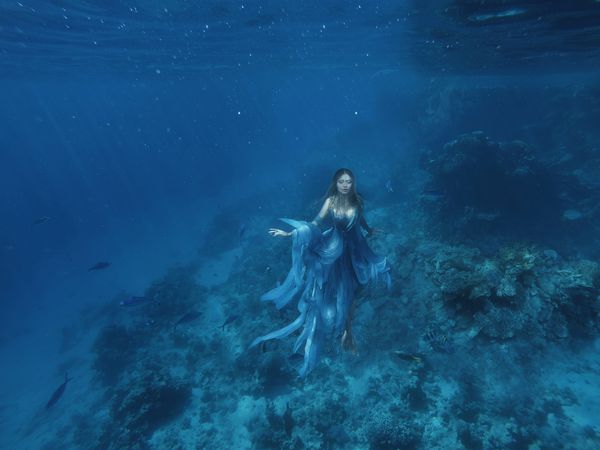 یک پری دریایی پری جادویی در لباس آبی پرواز در کف اقیانوس ملکه دریا و چتر دریایی تصویر هالووین عکس زیر آب در دریای سرخ یک پوره آب یا یک زن غرق شناور هنر