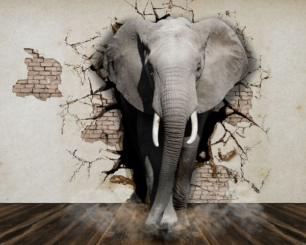 فیل از دیوارها بیرون می آید تصاویر پس زمینه دیوار رندر سه بعدی