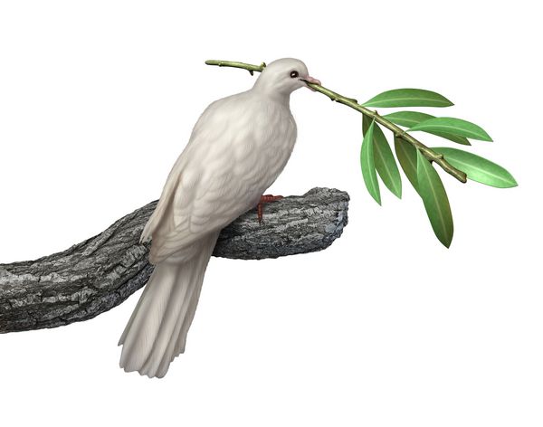 کبوتر نگه داشتن شاخه زیتون جدا شده بر روی زمینه سفید به عنوان سمبل آرامش و آرامش و امید به آینده بشریت در سفر به حقوق و آزادی بشر