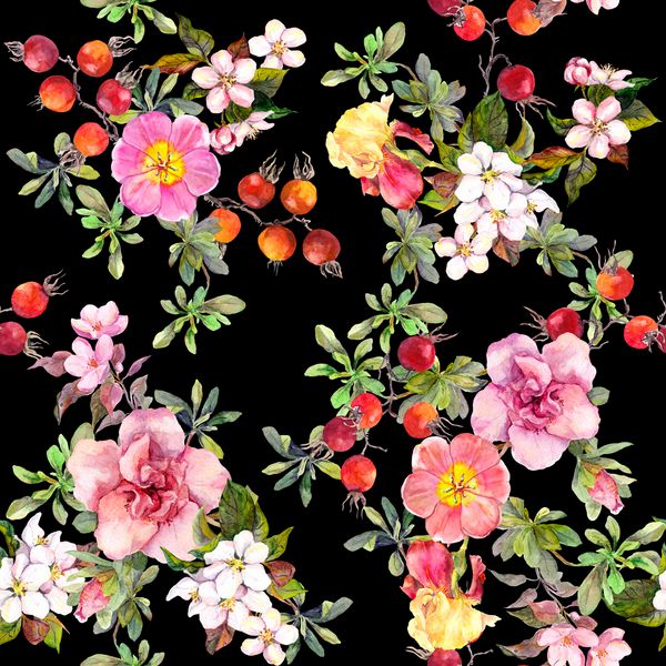 گلهای صورتی تابستانی چمنزارهای وحشی گل رز شکوفه های گیلاس الگوی گل بدون درز بر روی زمینه سیاه آبرنگ
