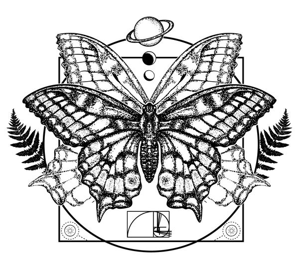 هنر پروانه نماد سحر و جادو رنسانس باطنی سفر طراحی تی شرت روح