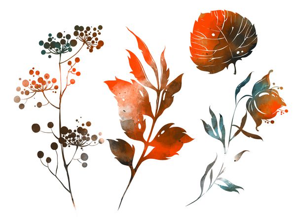 مجموعه گل برگ و گیاهان تصویر کشیده شده دیجیتال با رنگ آبرنگ آثار هنری مخلوط رسانه ای