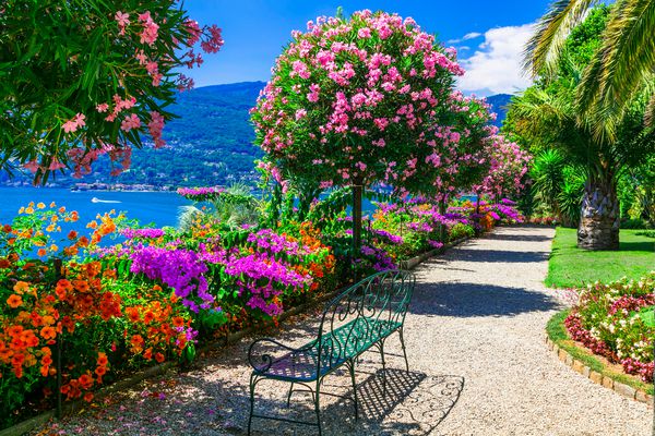 لاگو مگیگور زیبا amp quot؛ ایزولا دیوانه amp quot؛ با باغ های گل تزئینی شمال ایتالیا