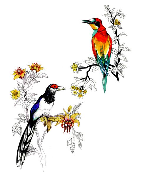 الگوی آبرنگ با پرندگان و گل ها در زمینه سفید