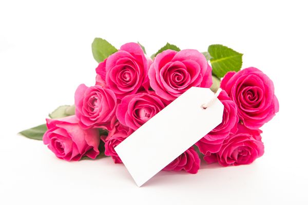 یک دسته از گلهای رز صورتی را با کارت خالی روی زمینه سفید ببندید