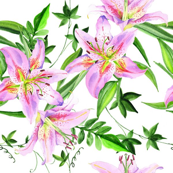گل زنبق آبرنگ گل گیاه شناسی گل گل آفتابگردان Aquarelle برای پس زمینه بافت الگوی بسته بندی قاب یا حاشیه تصویر