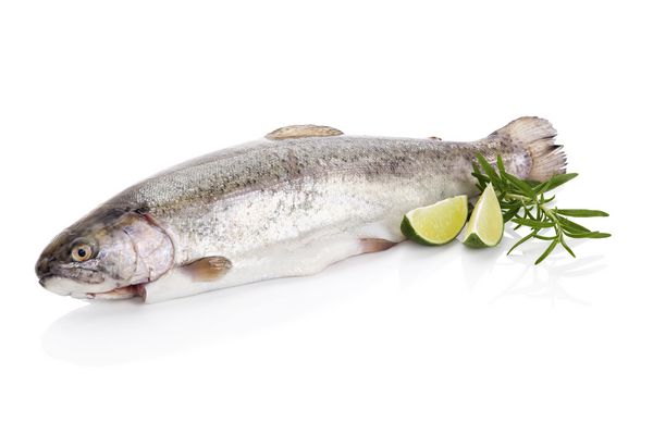 ماهی قزل آلا خام تازه خوشمزه جدا شده در زمینه سفید با رزماری تازه و آهک غذاهای دریایی آشپزی