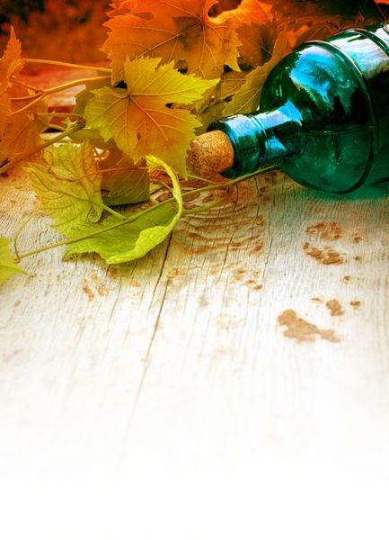 بطری با پس زمینه جوان انگور سبز تابستانی