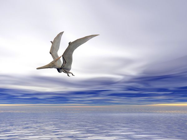 Pterodactyl یا Pteranodon که بر فراز اقیانوس پرواز می کند