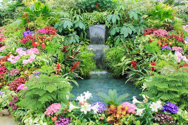 گل و آبشار در باغ سرپوشیده جزیره ونکوور کلمبیا بریتانیا کانادا