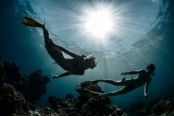 شلیک زیر آب زوج در حال حرکت روی عمق بالای صخره های مرجانی