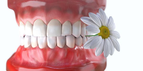 دندان با مفهوم بهداشت دندان دندان پزشکی گل