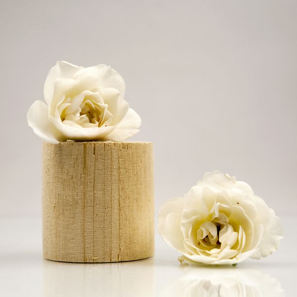 قطعات هندسی چوبی با گل رز سفید و زمینه خاکستری روشن