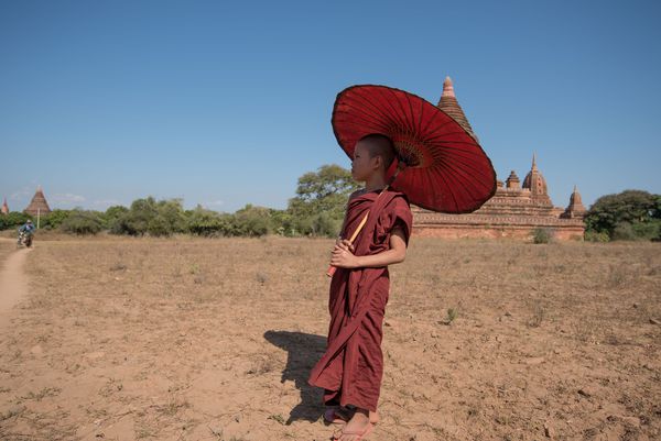 BAGAN MYANMAR 18 دسامبر 2014 راهب تازه کار با چتر قرمز که در 18 دسامبر سال 2014 در معبد بگان قدم می زند در Bagan میانمار