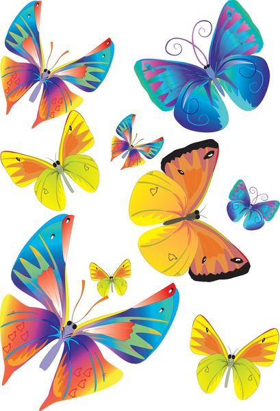 پروانه های رنگی وکتور