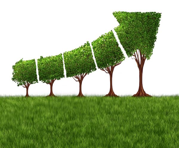 نمودار نمودار اقتصادی و مفهوم توسعه زیست محیطی یا زیست محیطی به عنوان گروهی از درختان که به شکل یک فلش با هم جمع می شوند و به سمت بالا به عنوان یک استعاره موفقیت برای سود و رشد نشان می دهند