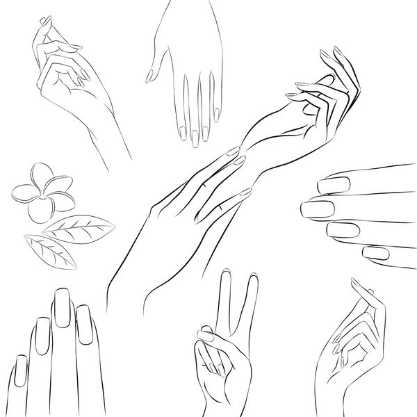 دست مانیکور مجموعه وکتور دستهای زنانه زیبا که در ژستهای مختلف و فرنگیپانی گل پلمریا کشیده شده است مفهوم مانیکور زیبایی و مراقبت از پوست