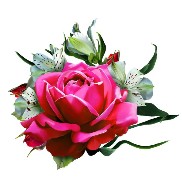 گل رز زیبا از گل رز قرمز جدا شده در یک پس زمینه سفید و Alstroemeria در پس زمینه