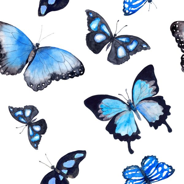 پروانه ها پس زمینه بدون درز با پروانه عجیب و غریب آبرنگ
