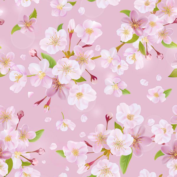 پس زمینه بهار شکوفه گیلاس الگوی یکپارچه در وکتور