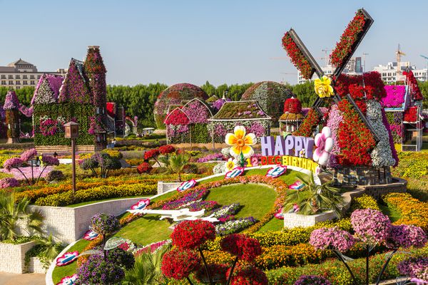دوبی امارات 24 نوامبر باغ معجزه دبی با بیش از 45 میلیون گل در یک روز آفتابی در 24 نوامبر 2015 امارات متحده عربی