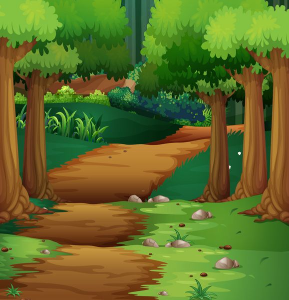 صحنه جنگل با جاده خاکی در تصویر وسط