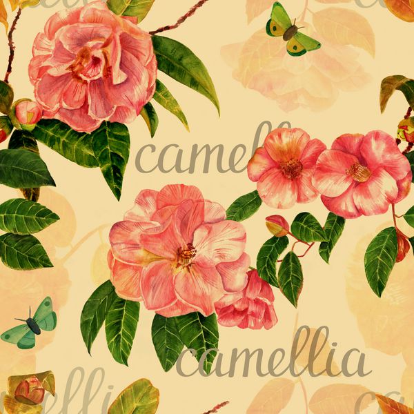 بافت پس زمینه بدون درز با شترهای آبرنگ به سبک پرنعمت پروانه ها و کلمه amp x27؛ camellia amp x27؛ در خوشنویسی؛ دست رنگ آمیزی شده و قهوه ای رنگ شده است