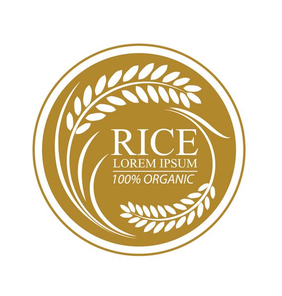 برنج تصویر برداری