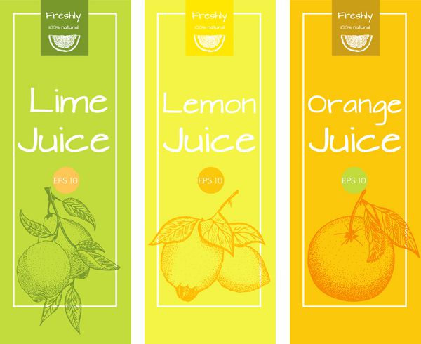 الگوی برچسب آبلیمو لیمو و پرتقال برای محصولات مرکبات طراحی وکتور بسته بندی و جعبه بسته بندی