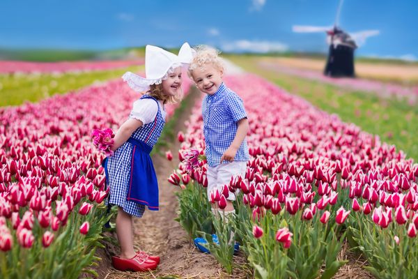 فرزندان هلندی مبارک در زمینه گلهای گل لاله شکوفه دختر و پسر با لباس ملی قلاب چوبی و کلاه بازی با لاله ها کنار یک آسیاب بادی در هلند هلند